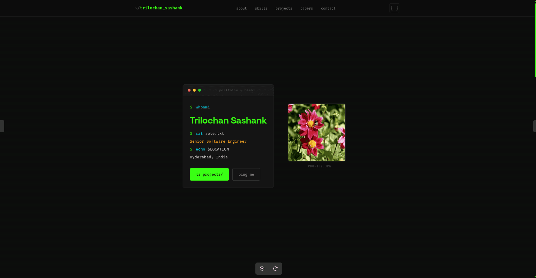 Echo Shell Portfolio