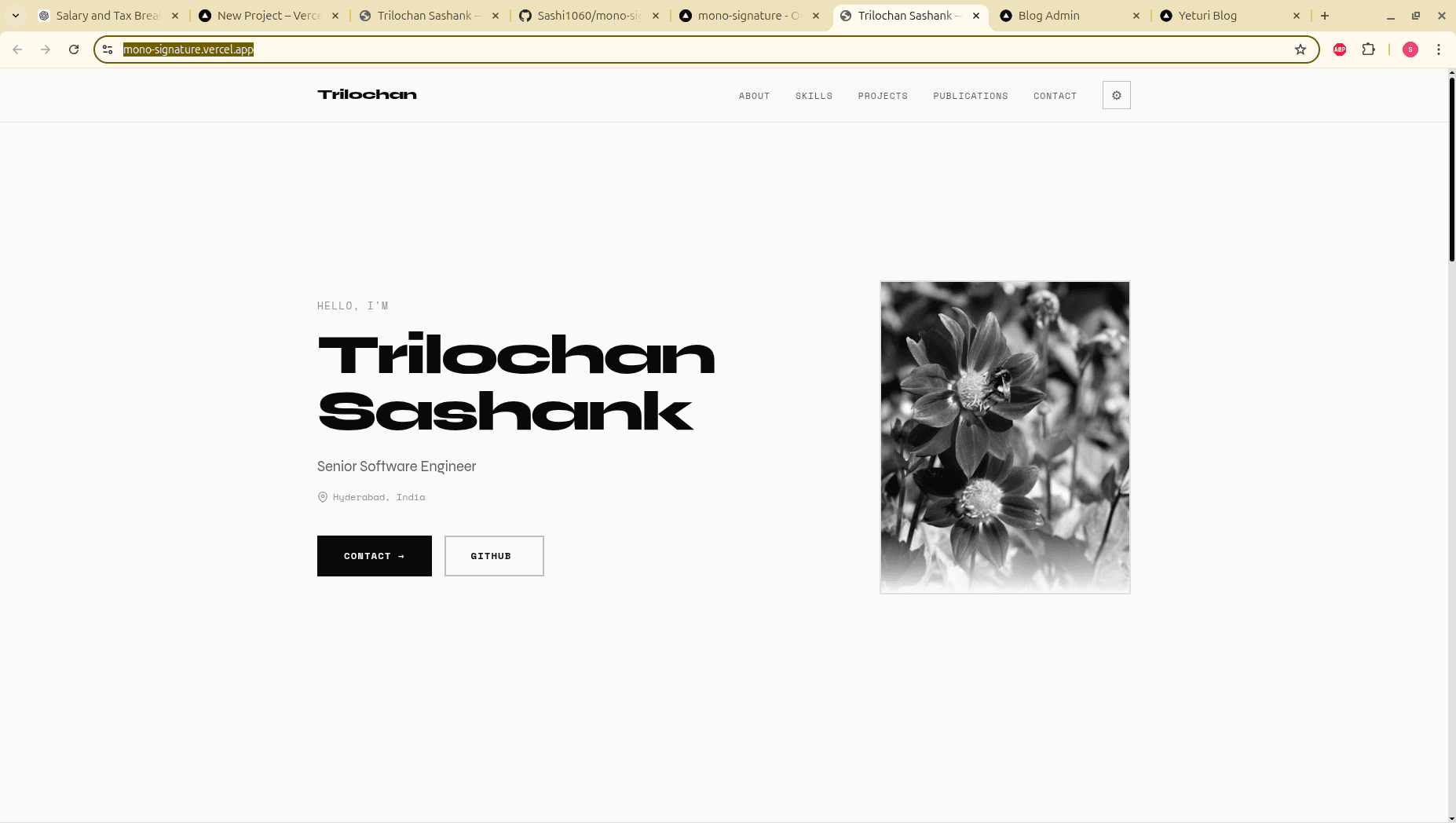 Mono Signature Portfolio Template