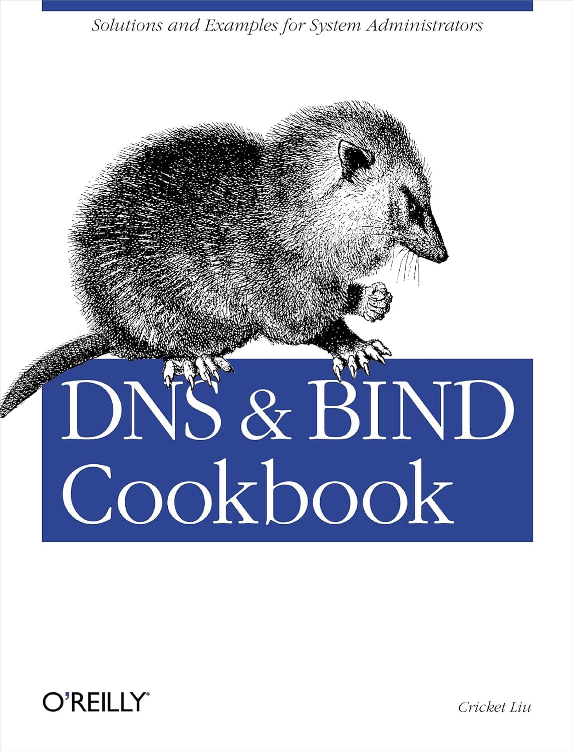 DNS & Bind Cookbook: Solutions & Examples for System Administrators