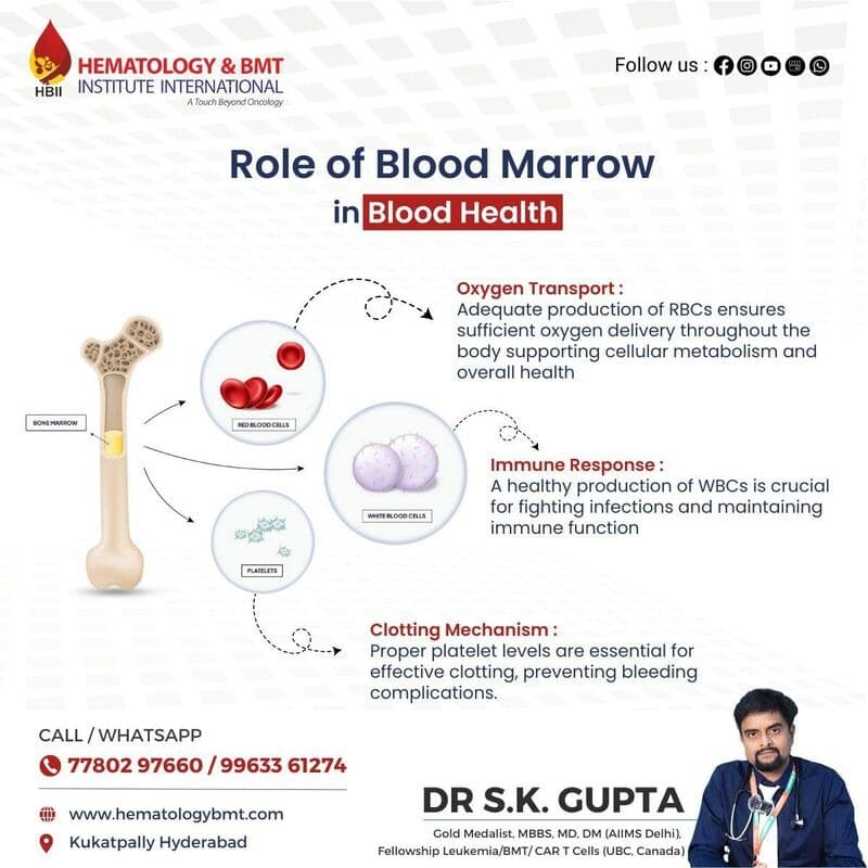 Nutrition During Cancer Treatment and Bone Marrow Transplant Recovery